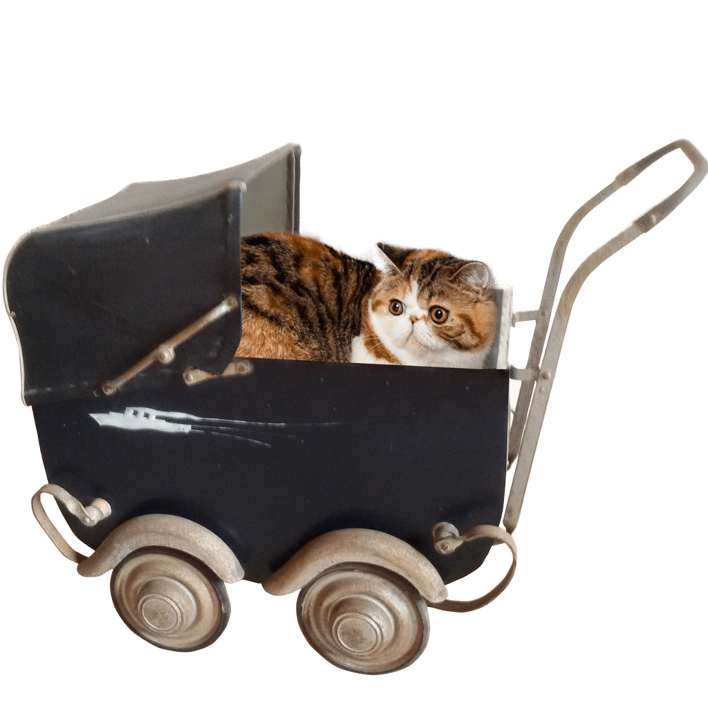 Accessoire chat design Poucette de 1945