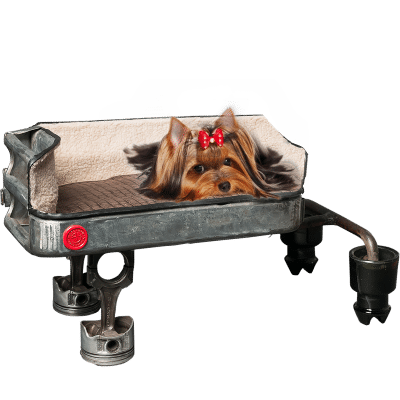Banquette pour chien piston Nissan Skyline