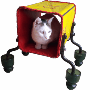 Accessoires de luxe pour animaux Accessoires Chihuahua artistique