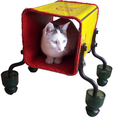 Accessoires de luxe pour animaux Accessoires Chihuahua artistique