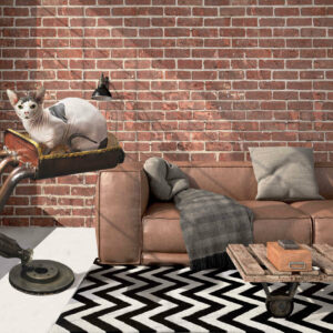 Atelier du Loft accessoires animaux insolites haut de gamme créations artistiques