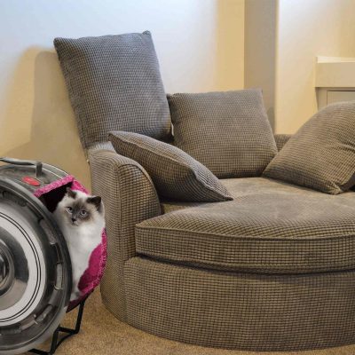 Mobilier pour animaux avec pièces de voiture de luxe Bentley Atelier du Loft