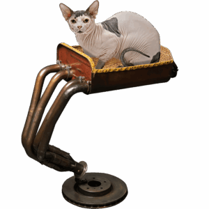 Daniela DAUDE artiste créations artistiques de mobilier design pour animaux des pièces uniques un arbre a chat de luxe un accessoire fantaisie haut de gamme